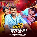 Patare Balamua (Pramod Premi Yadav) 2024 Mp3 Song