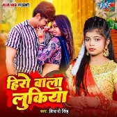 Hero Wala Lookiya (Shivani Singh) 2024 Mp3 Song