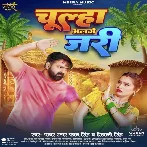 Chulha Alage Jari (Pawan Singh, Shivani Singh) 2024 Mp3 Song