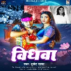 Vidhwa (Bullet Raja) 2024 Mp3 Song 