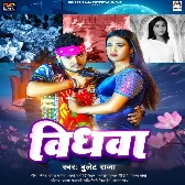 Vidhwa (Bullet Raja) 2024 Mp3 Song 