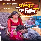 Pathar Ke Dil (Dhananjay Dhadkan) 2024 Mp3 Song