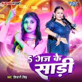 Panch Gaj Ke Saari (Shivani Singh) 2024 Mp3 Song